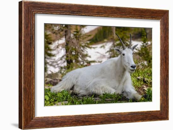 Make Me Smile-Michael Blanchette-Framed Photographic Print