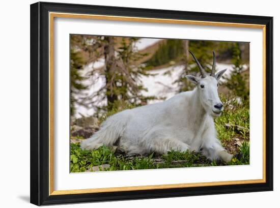 Make Me Smile-Michael Blanchette-Framed Photographic Print