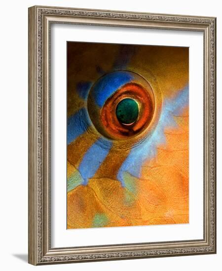 Makeup-Andrey Narchuk-Framed Photographic Print