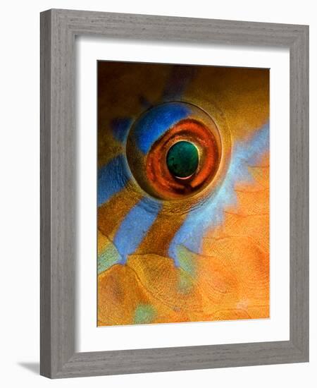 Makeup-Andrey Narchuk-Framed Photographic Print