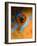 Makeup-Andrey Narchuk-Framed Photographic Print