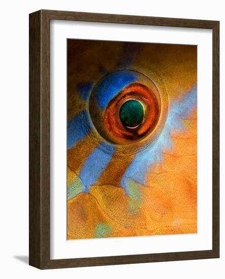 Makeup-Andrey Narchuk-Framed Photographic Print