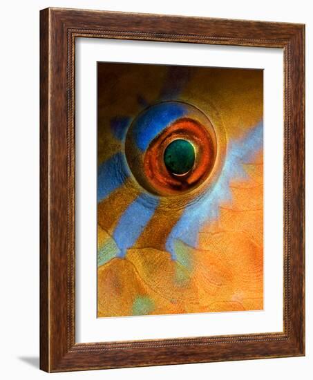 Makeup-Andrey Narchuk-Framed Photographic Print