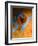 Makeup-Andrey Narchuk-Framed Photographic Print