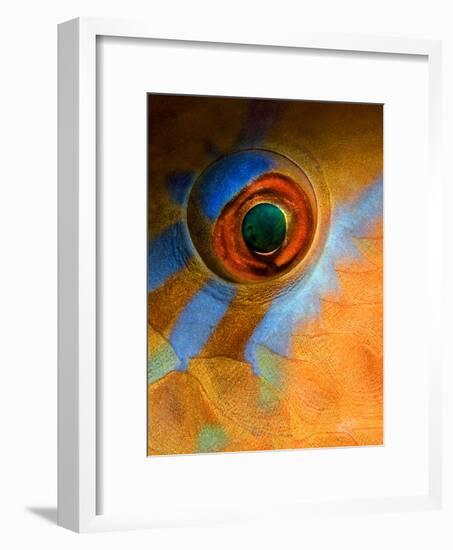 Makeup-Andrey Narchuk-Framed Photographic Print