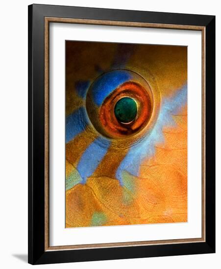 Makeup-Andrey Narchuk-Framed Photographic Print