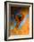 Makeup-Andrey Narchuk-Framed Photographic Print