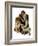 "Making Friends" or "Raleigh Rockwell", September 28,1929-Norman Rockwell-Framed Giclee Print