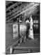 Photographic Print