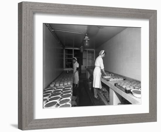 Making Pork Pies, Schonhuts Butchery Factory, Rawmarsh, South Yorkshire, 1955-Michael Walters-Framed Photographic Print