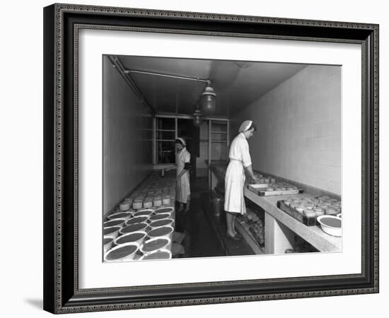 Making Pork Pies, Schonhuts Butchery Factory, Rawmarsh, South Yorkshire, 1955-Michael Walters-Framed Photographic Print