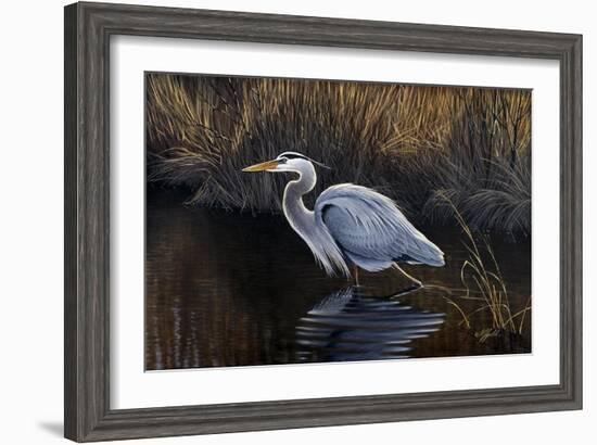 Making Strides - Great Blue Heron-Wilhelm Goebel-Framed Giclee Print