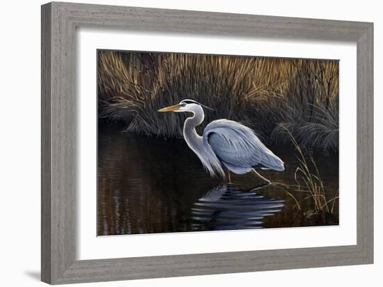 Making Strides - Great Blue Heron-Wilhelm Goebel-Framed Giclee Print