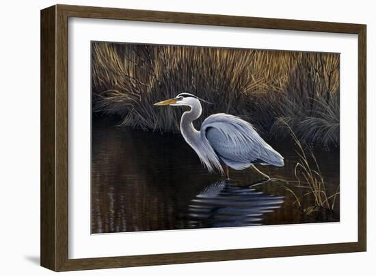 Making Strides - Great Blue Heron-Wilhelm Goebel-Framed Giclee Print