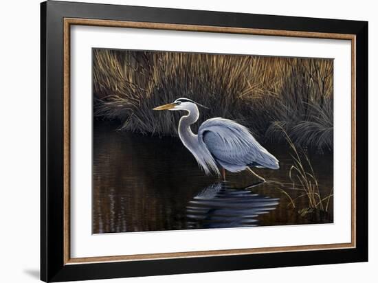 Making Strides - Great Blue Heron-Wilhelm Goebel-Framed Giclee Print