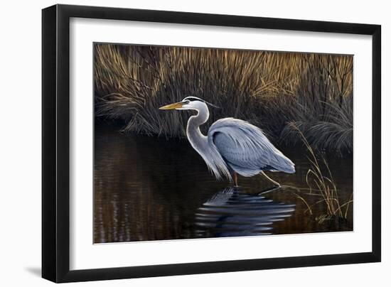 Making Strides - Great Blue Heron-Wilhelm Goebel-Framed Giclee Print