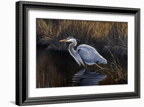 Making Strides - Great Blue Heron-Wilhelm Goebel-Framed Giclee Print