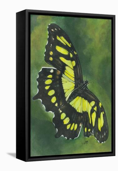 Malachite Butterfly-Barbara Keith-Framed Premier Image Canvas