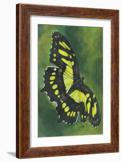 Malachite Butterfly-Barbara Keith-Framed Giclee Print