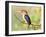 Malachite Kingfisher Full Bleed-Martin Fowkes-Framed Giclee Print