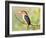 Malachite Kingfisher Full Bleed-Martin Fowkes-Framed Giclee Print