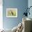 Malachite Kingfisher-Martin Fowkes-Framed Giclee Print displayed on a wall