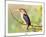 Malachite Kingfisher-Martin Fowkes-Mounted Giclee Print