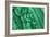 Malachite Lumumbashi-null-Framed Photographic Print