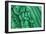 Malachite Lumumbashi-null-Framed Photographic Print