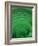 Malachite-Darrell Gulin-Framed Photographic Print