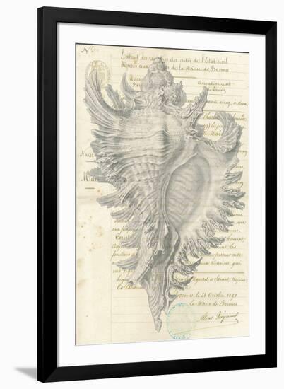 Malacology II-Stephanie Monahan-Framed Giclee Print