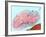 Malaria Parasite, TEM-null-Framed Photographic Print