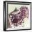 Malaria Parasites, TEM-null-Framed Premium Photographic Print