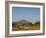 Malawi, Dedza, Grass-Roofed Houses in a Rural Village in the Dedza Region-John Warburton-lee-Framed Photographic Print