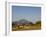 Malawi, Dedza, Grass-Roofed Houses in a Rural Village in the Dedza Region-John Warburton-lee-Framed Photographic Print