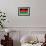 Malawi Flag Design with Wood Patterning - Flags of the World Series-Philippe Hugonnard-Framed Art Print displayed on a wall