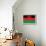 Malawi Flag Design with Wood Patterning - Flags of the World Series-Philippe Hugonnard-Framed Stretched Canvas displayed on a wall