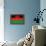 Malawi Flag Design with Wood Patterning - Flags of the World Series-Philippe Hugonnard-Framed Stretched Canvas displayed on a wall