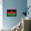 Malawi Flag Design with Wood Patterning - Flags of the World Series-Philippe Hugonnard-Framed Stretched Canvas displayed on a wall