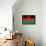 Malawi Flag Design with Wood Patterning - Flags of the World Series-Philippe Hugonnard-Framed Stretched Canvas displayed on a wall