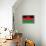 Malawi Flag Design with Wood Patterning - Flags of the World Series-Philippe Hugonnard-Framed Stretched Canvas displayed on a wall