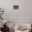 Malawi Flag Design with Wood Patterning - Flags of the World Series-Philippe Hugonnard-Framed Stretched Canvas displayed on a wall
