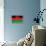 Malawi Flag Design with Wood Patterning - Flags of the World Series-Philippe Hugonnard-Framed Stretched Canvas displayed on a wall