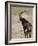 Malawi, Majete Wildlife Reserve, Male Sable Antelope in the Brachystegia Woodland-John Warburton-lee-Framed Photographic Print