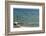 Malawi, Nkhata Bay, People Fishing in the Lake Malawi-Anthony Asael-Framed Photographic Print