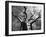 Malawi, Upper Shire Valley, Liwonde National Park; the Spreading Branches of a Massive Baobab Tree-Mark Hannaford-Framed Photographic Print
