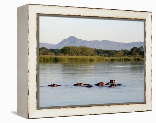 Malawi, Upper Shire Valley, Liwonde National Park-Mark Hannaford-Framed Premier Image Canvas