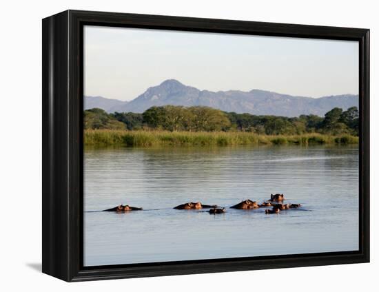 Malawi, Upper Shire Valley, Liwonde National Park-Mark Hannaford-Framed Premier Image Canvas