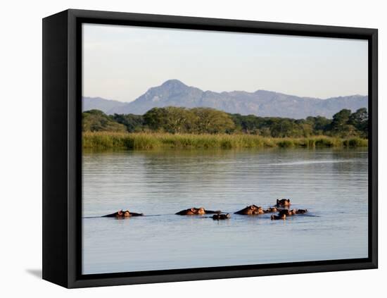 Malawi, Upper Shire Valley, Liwonde National Park-Mark Hannaford-Framed Premier Image Canvas