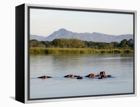 Malawi, Upper Shire Valley, Liwonde National Park-Mark Hannaford-Framed Premier Image Canvas